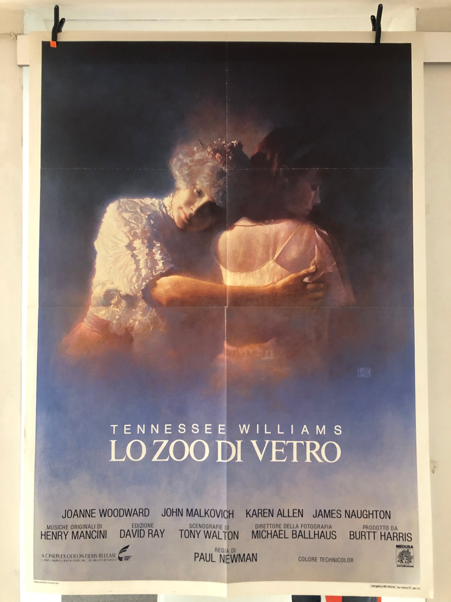 Manifesto Da Cinema Originale Film "Lo Zoo Di Vetro" di Tennessee Williams, Anno 1988, Locandina, misure 140x100