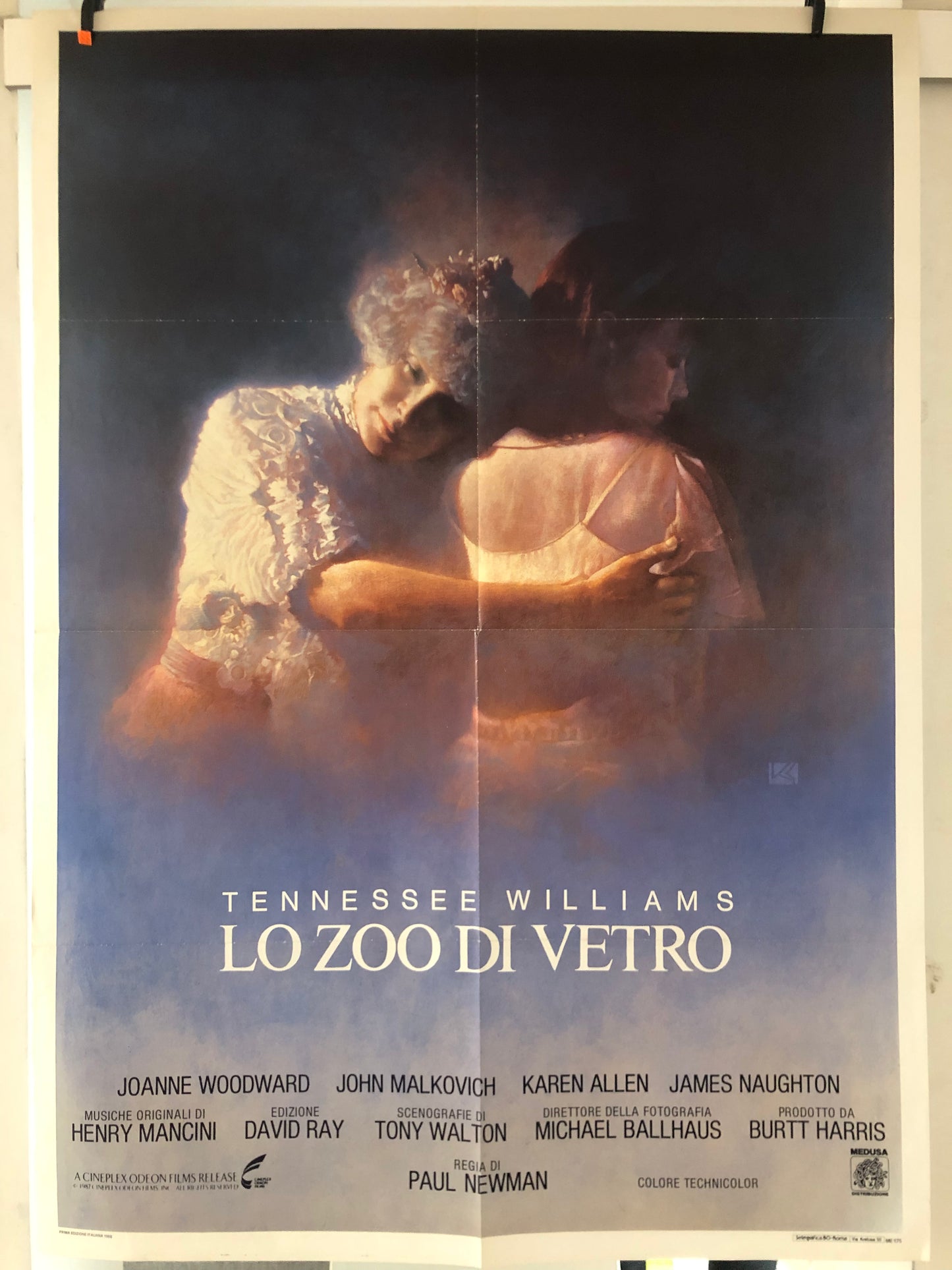 Manifesto Da Cinema Originale Film "Lo Zoo Di Vetro" di Tennessee Williams, Anno 1988, Locandina, misure 140x100