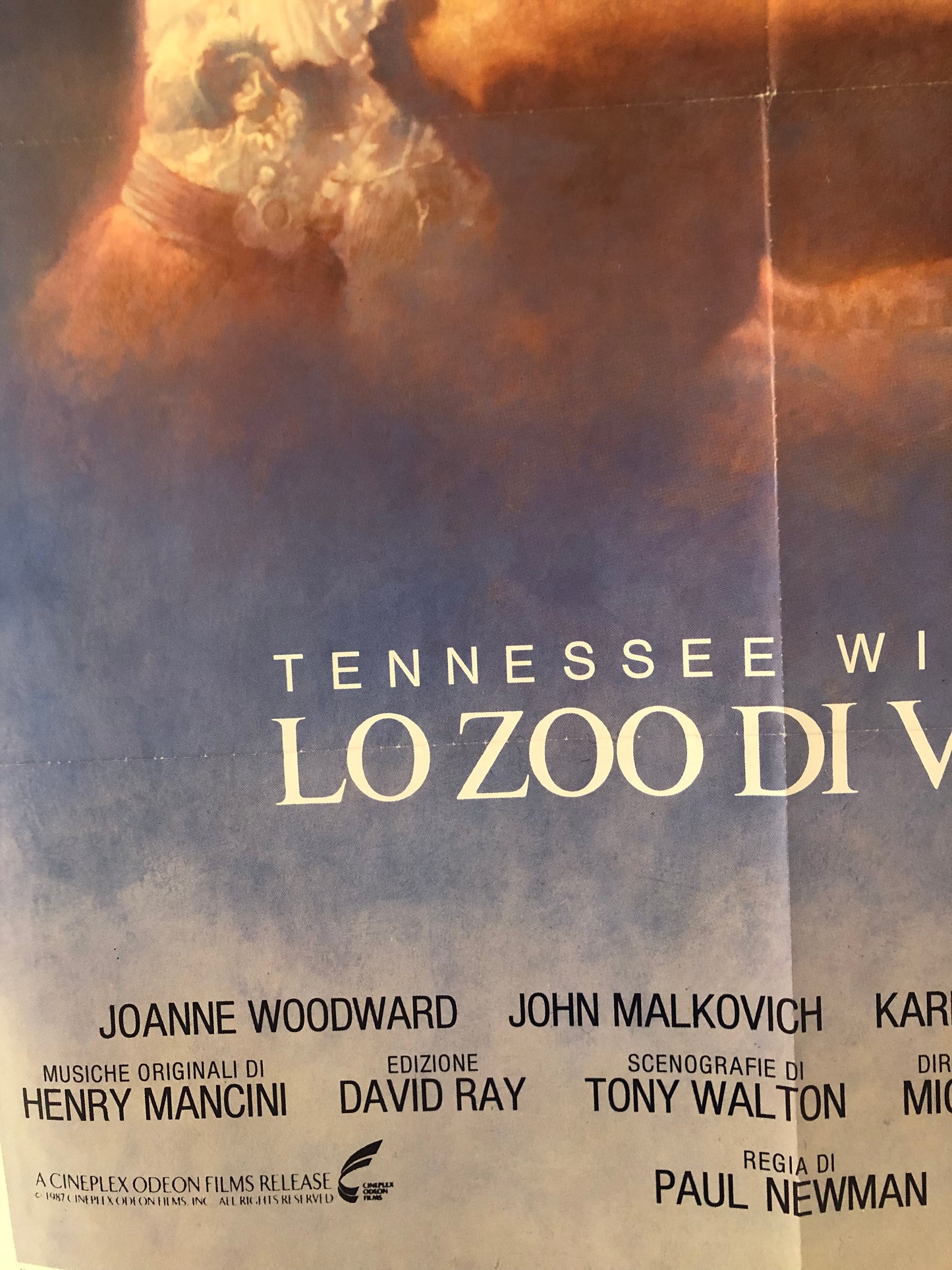 Manifesto Da Cinema Originale Film "Lo Zoo Di Vetro" di Tennessee Williams, Anno 1988, Locandina, misure 140x100