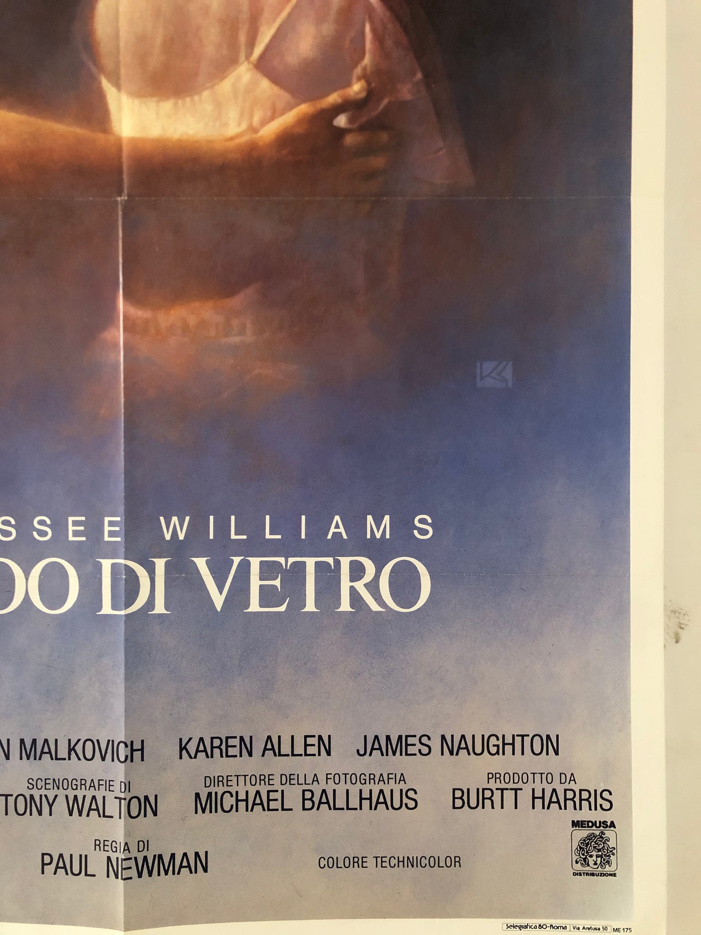 Manifesto Da Cinema Originale Film "Lo Zoo Di Vetro" di Tennessee Williams, Anno 1988, Locandina, misure 140x100