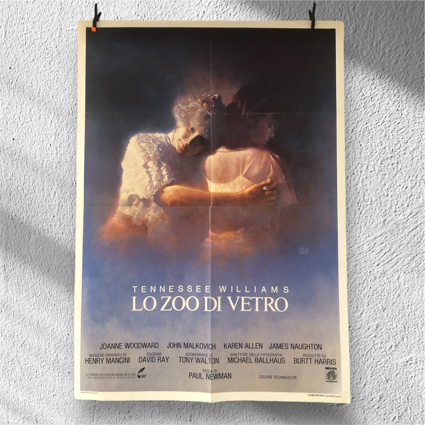 Manifesto Da Cinema Originale Film "Lo Zoo Di Vetro" di Tennessee Williams, Anno 1988, Locandina, misure 140x100