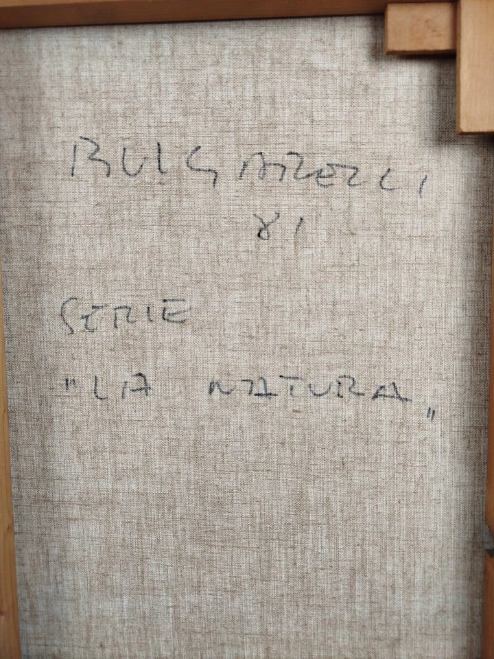 Quadro Lucio Bulgarelli Serie La Natura Anni 80 Pittore Vicentino Astrattista