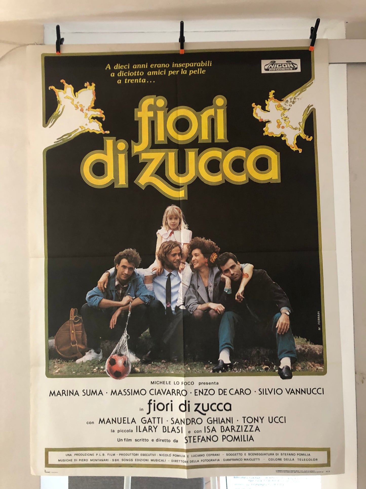 Manifesto Da Cinema Originale Film "Fiori Di Zucca", Anno 1989, Locandina, misure 140x100