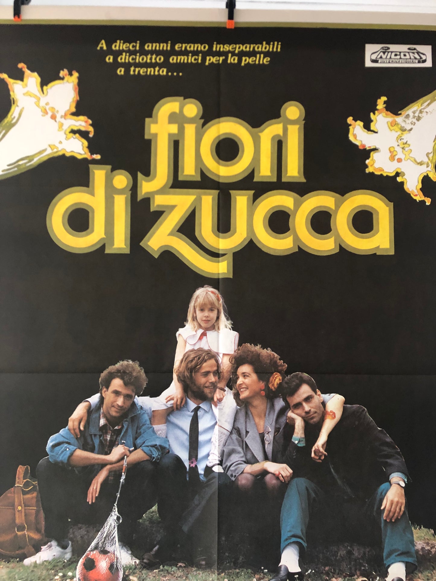 Manifesto Da Cinema Originale Film "Fiori Di Zucca", Anno 1989, Locandina, misure 140x100