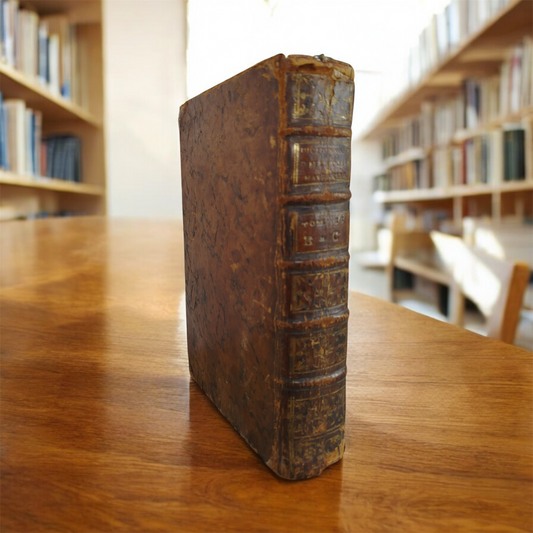 Antico Raro Libro Dictionnaire Raisonne Universel D'Histoire Naturelle Anno 1775