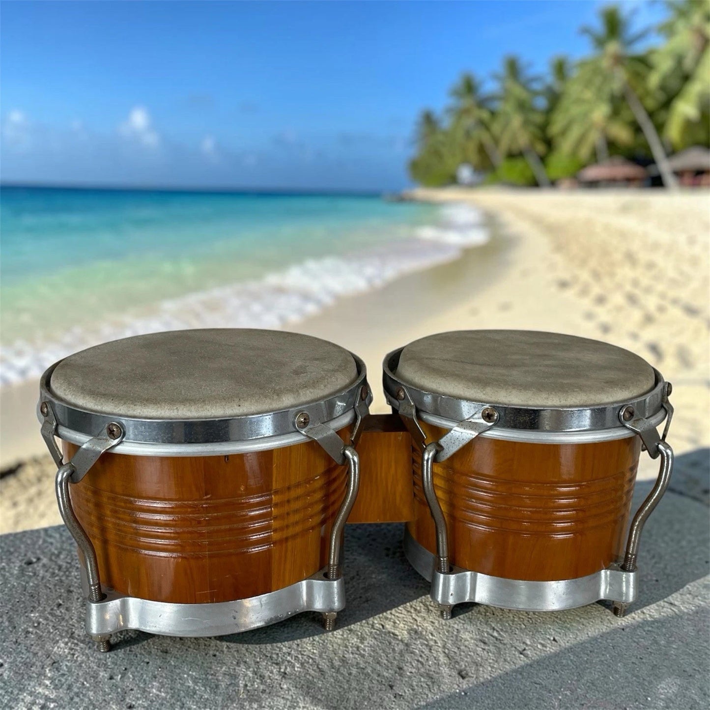 Ddrums Bongos Bonghi In Legno T.O.C.A. Percussion Strumenti a percussione latini