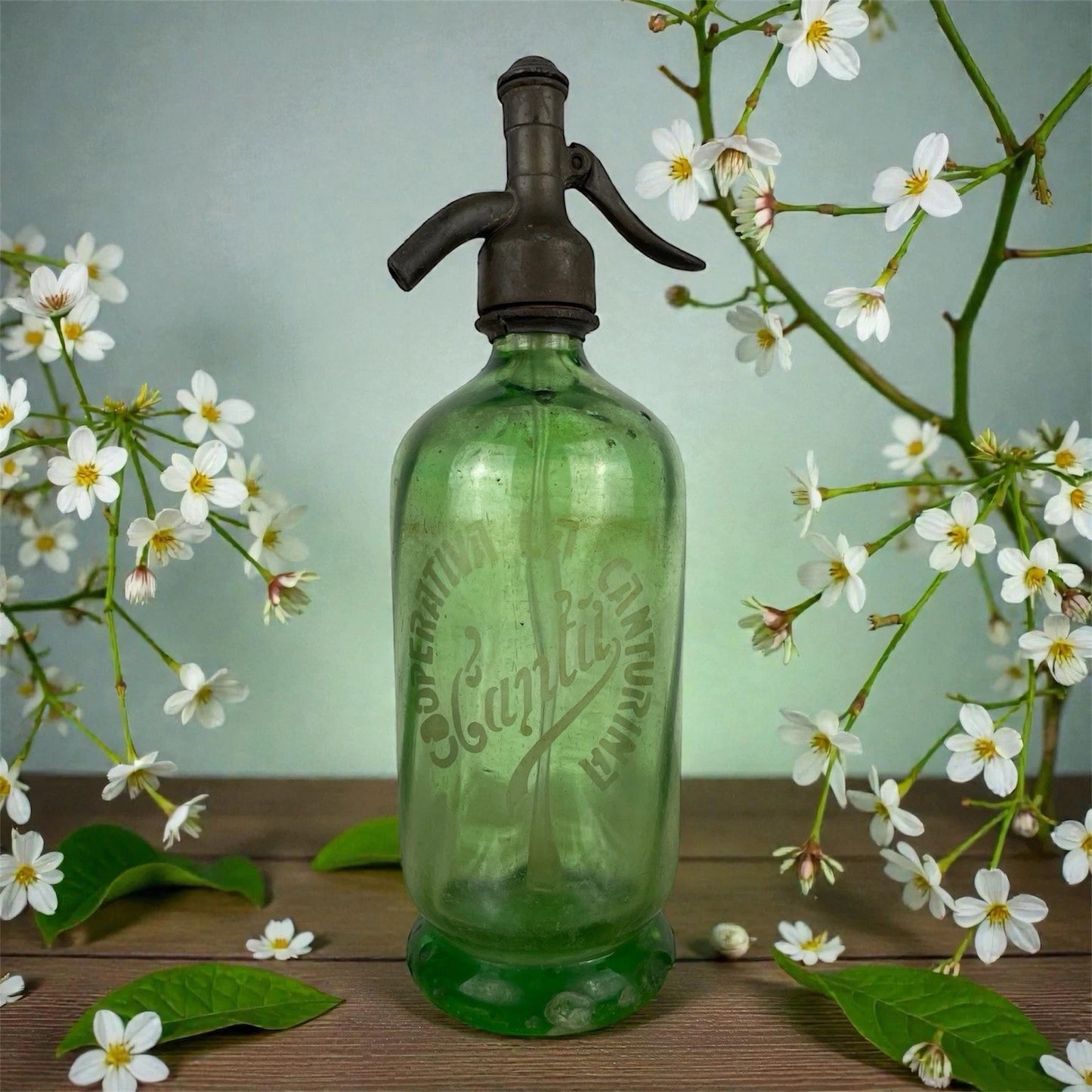 Autoseltzer In Vetro Sifone Seltz Cooperativa Canturina Cantù Verde Anni 30 Epoca